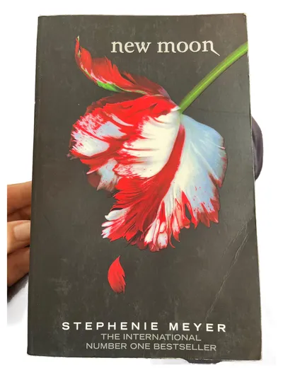 New Moon Twilight Saga 2 Stephenie Meyer Taschenbuch Vampirroman Jugendbuch