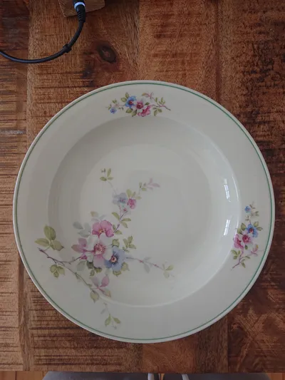 C. Tielsch Altwasser Suppenteller Blumenmuster Porzellan Vintage 23cm