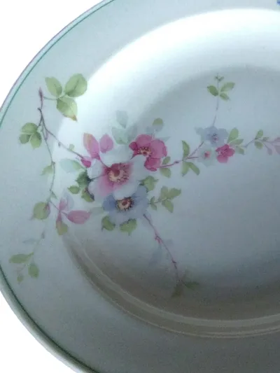C.T. Altwasser Vintage Essteller Porzellan Blumenmuster Mehrfarbig 23cm
