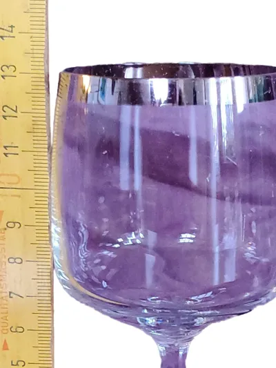 Durobor Bowleglas Weinglas Transparent Silberrand 250ml Elegant 13cm