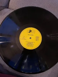 Hans Söllner - Die Zeit'n war'n se ändern LP Vinyl PPM Records 1