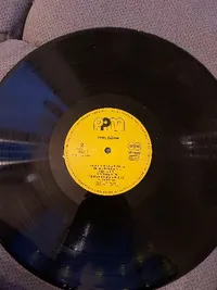 Hans Söllner - Die Zeit'n war'n se ändern LP Vinyl PPM Records 2