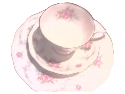 Royal Kent Sammelgedeck Teller Tasse Untertasse Weiß Blumen