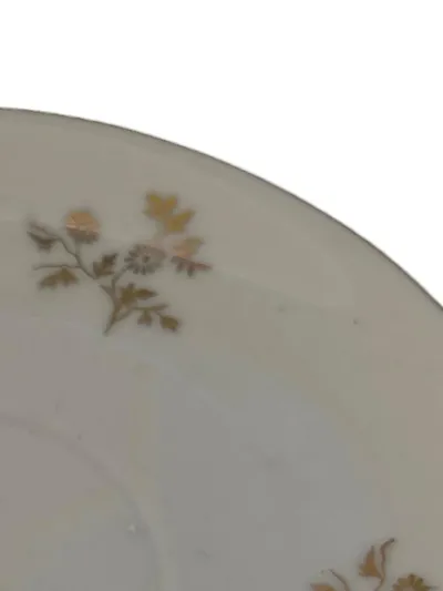 Bavaria Untertasse Porzellan Weiß Goldrand Blumenmuster Klassisch