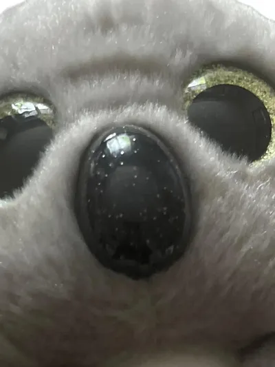 NICI Kuscheltier Koala Plüschtier Stofftier Grau Charmant 20cm