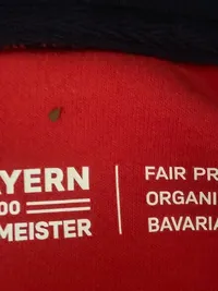 FC Bayern München Hoodie Herren Gr. L Rekordmeister Rot Navy Kapuzenjacke 6