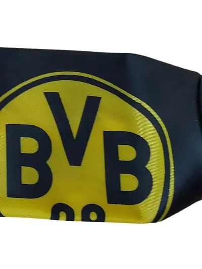 Borussia Dortmund Federtasche Federmäppchen Kinder Mehrfarbig BVB Logo-Print