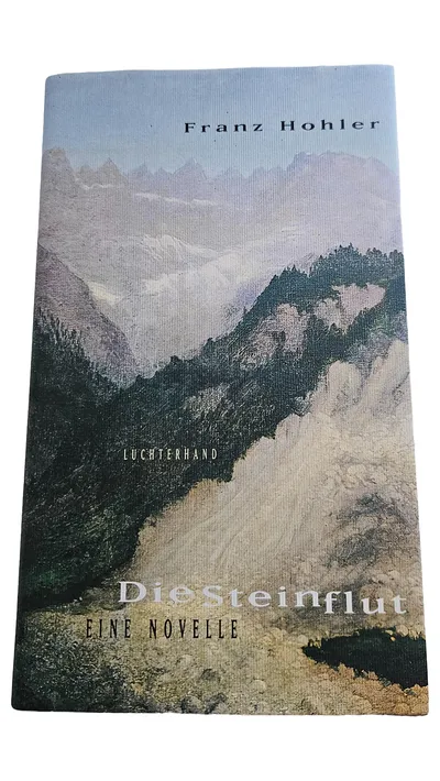 Die Steinflut - Franz Hohler - Eine Novelle - Luchterhand Verlag