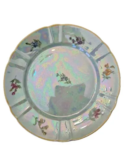 Oscar Schlegelmilch Sammelteller Vintage Blumenmuster Porzellan Mehrfarbig 19cm