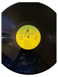 Hans Söllner Wos reimt se scho auf Nicki LP Vinyl Schlager Bayerisch 1