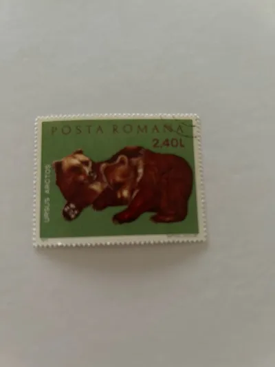 Briefmarke Rumänien Posta Romana Ursus Arctos Braunbär 2,40L gestempelt