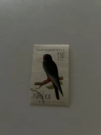 Polen Briefmarke Falco Vespertinus Rotfußfalke 1.50 Vogelmotiv postfrisch