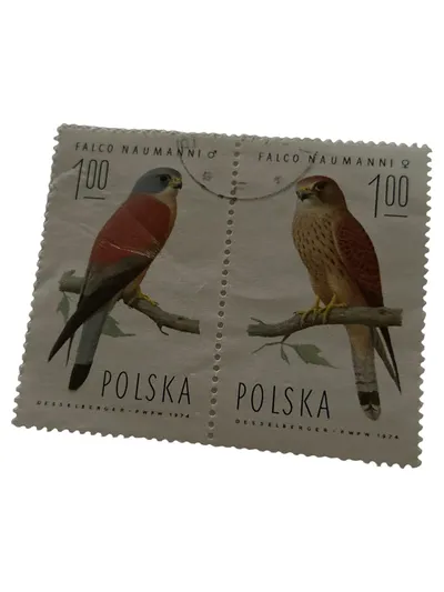 Polen Briefmarken 1974 Falco Naumanni Rötelfalke Paar gestempelt