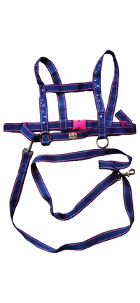 Pferdefreunde Hundegeschirr mit Leine Blau Pink Sterne verstellbar 1
