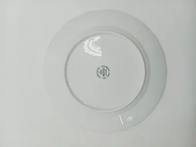 Tirschenreuth Zwiebelmuster Essteller 25 cm Keramik Weiß Klassisch