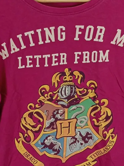 Character.com Harry Potter Hogwarts Fanshirt Kinder T-Shirt Pink S