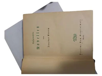 Theodor Storm Ausgewählte Novellen Deutsche Buch-Gemeinschaft Hardcover