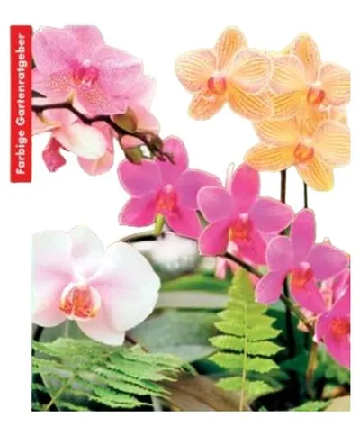 Orchideen pflegen Ratgeber Bellavista Taschenbuch Gartenarbeit Pflanzen