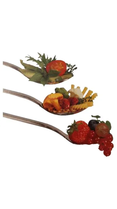 Becel Kochbuch II Gesundes für Genießer Cholesterin Rezepte Ernährung