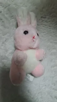 Dieter Nitzling Plüschtier Hase Rosa Kuscheltier Plüschhase 13cm 2