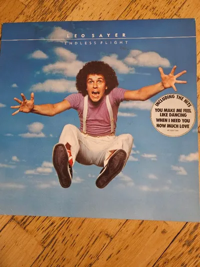Leo Sayer – Endless Flight Vinyl LP Album 1976 Pop Klassiker