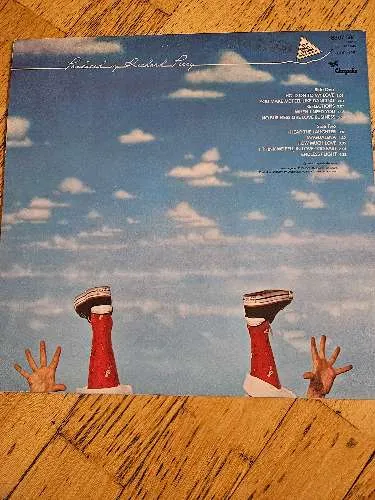 Leo Sayer – Endless Flight Vinyl LP Album 1976 Pop Klassiker
