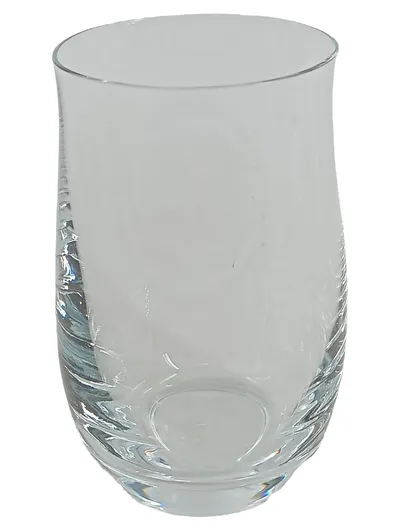 WMF Trinkglas Wasserglas 300ml Transparent Modern Glas