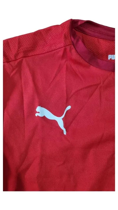 PUMA Fußball Trikot Kinder Gr. 176 Rot DryCELL Sportshirt