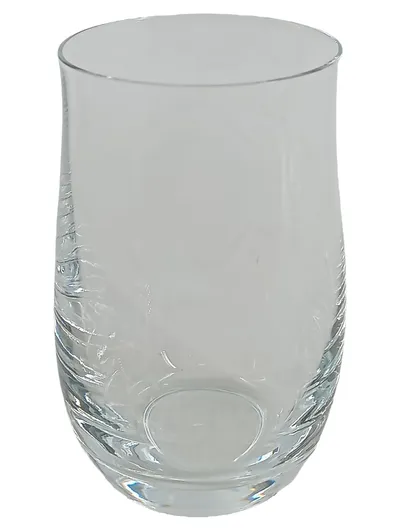 WMF Trinkglas Wasserglas Transparent Elegant 250ml Glas