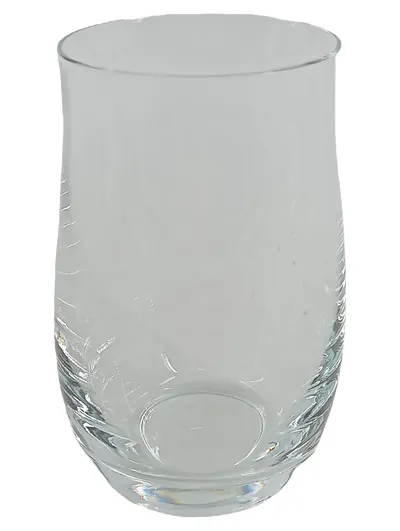 WMF Trinkglas Wasserglas Transparent Elegant 300ml Glas