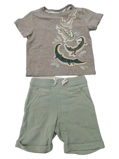 RORIE WHELAN Jungen Twin Set Shirt Shorts Krokodil Gr. 80 Casual Mehrfarbig