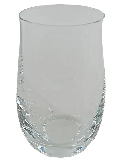 WMF Trinkglas Wasserglas Transparent Elegant 300ml Glas