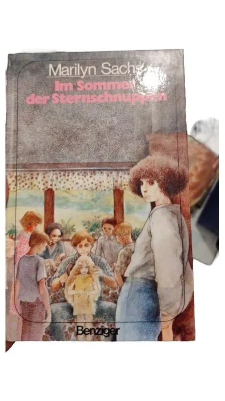 Im Sommer der Sternschnuppen Marilyn Sachs Jugendbuch Benziger 1