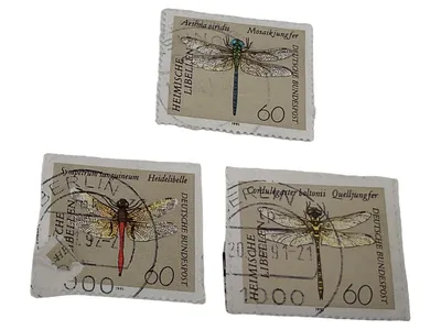 Deutsche Bundespost Briefmarken Heimische Libellen Set Mehrfarbig