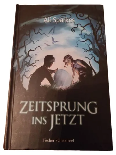 Zeitsprung ins Jetzt Ali Sparkes Abenteuerroman Hardcover Fischer Schatzinsel