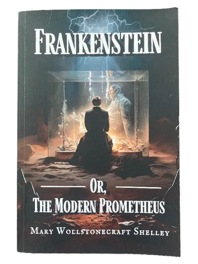Frankenstein von Mary Shelley Taschenbuch Horrorbuch KI Klassiker Englisch