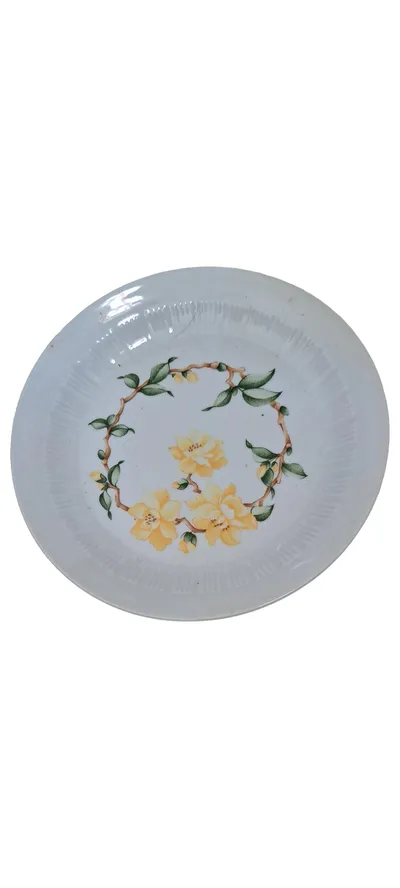 Colditz Porzellan Kuchenteller Vintage Blumenmuster Porzellan Mehrfarbig