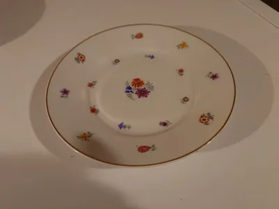 Kaestner Porzellan Wandteller Streublumen Vintage 19 cm Weiß