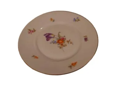 Rosenthal Selb Bavaria Teller Blumendekor Porzellan 18 cm Weiß