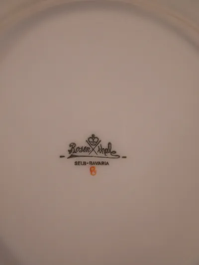 Rosenthal Selb Bavaria Teller Blumendekor Porzellan 18 cm Weiß