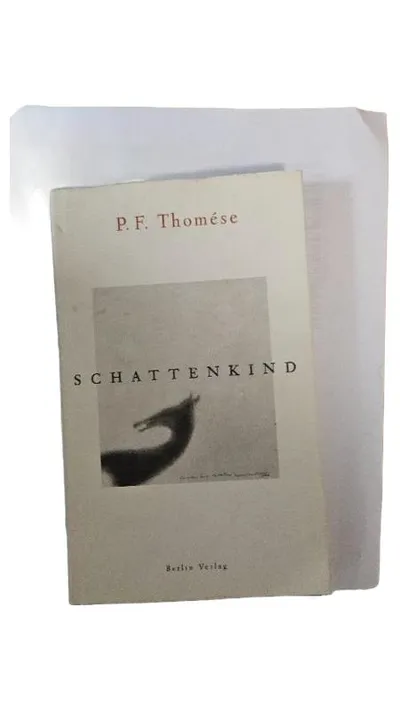 Schattenkind P.F. Thomése Gesellschaftsroman Berlin Verlag Buch Trauer Verlust