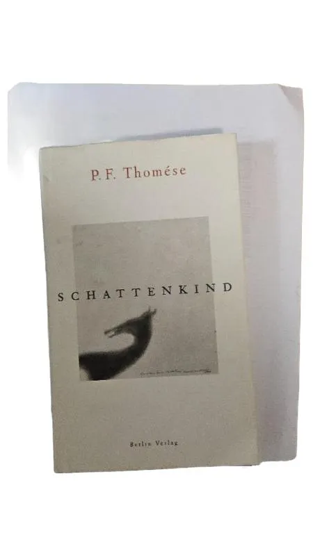 Schattenkind P.F. Thomése Gesellschaftsroman Berlin Verlag Buch Trauer Verlust 1