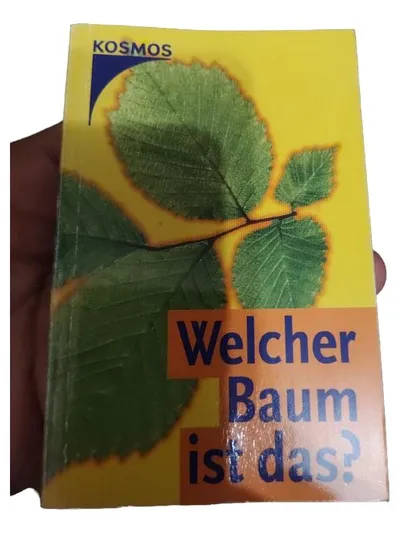 KOSMOS Welcher Baum ist das? Bestimmungsbuch Bäume Natur Hobbybuch