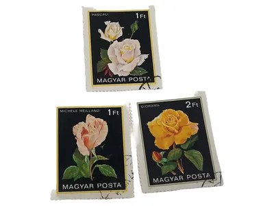MAGYAR POSTA Briefmarken Ungarische Rosen Mehrfarbig Sammlerstück
