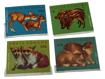 Posta Romana Briefmarken Tiere 4er Set Reh Fuchs Wildschwein Luchs