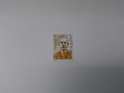 Briefmarke Polen 9000 Zł Prof. Florian Znaniecki gestempelt Lublin
