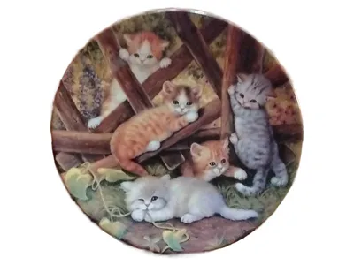 KAHLA Sammelteller Katzenkinder Treffpunkt Gartenzaun Porzellan 20cm