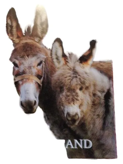 Landlust Zeitschrift Natur Tiere Esel Landleben Magazin Ländliche Idylle