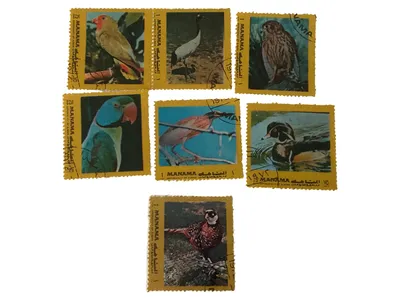 Manama Briefmarken Vögel Mehrfarbig Postwertzeichen Set