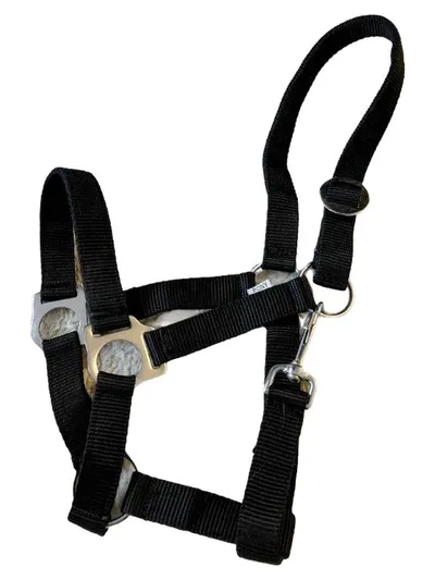 Pony Halfter Schwarz Nylon mit Metallbeschlägen Stallhalfter